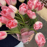 $ 99 ๐ฌ 08 ๐ 11